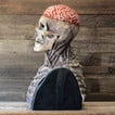 🔥 LAST DAY SALE OFF 50%🔥 Latest Halloween bone biochemistry mask 2023