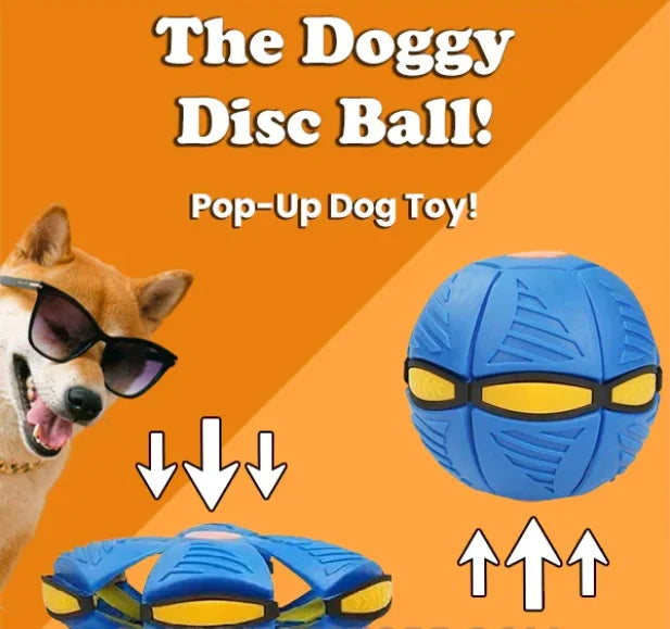 💥The Doggy Disc Ball💞