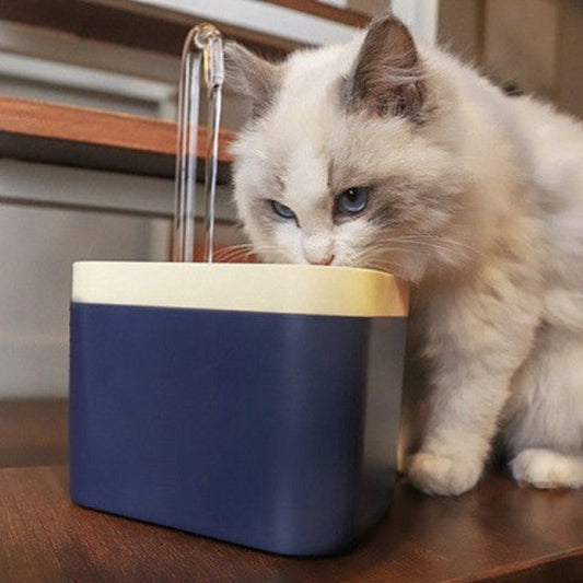 Automatic fountain for pets to drink